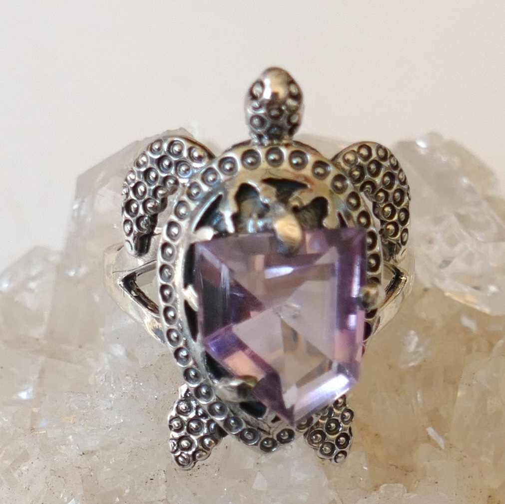 Bg tortue amethyste